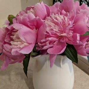 Meet your Posher, Stacy